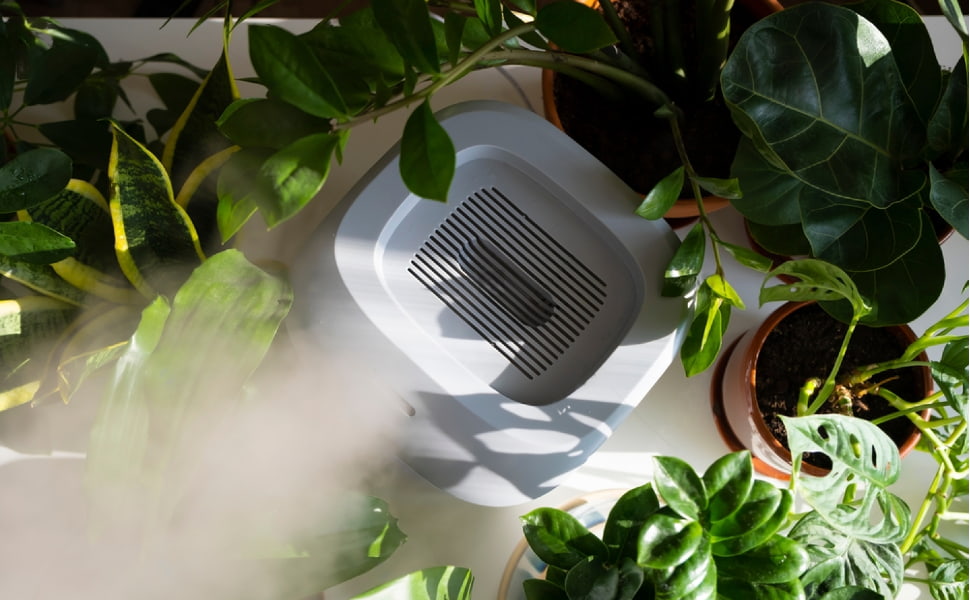 How to Choose the Best Humidifier for Dry Winters