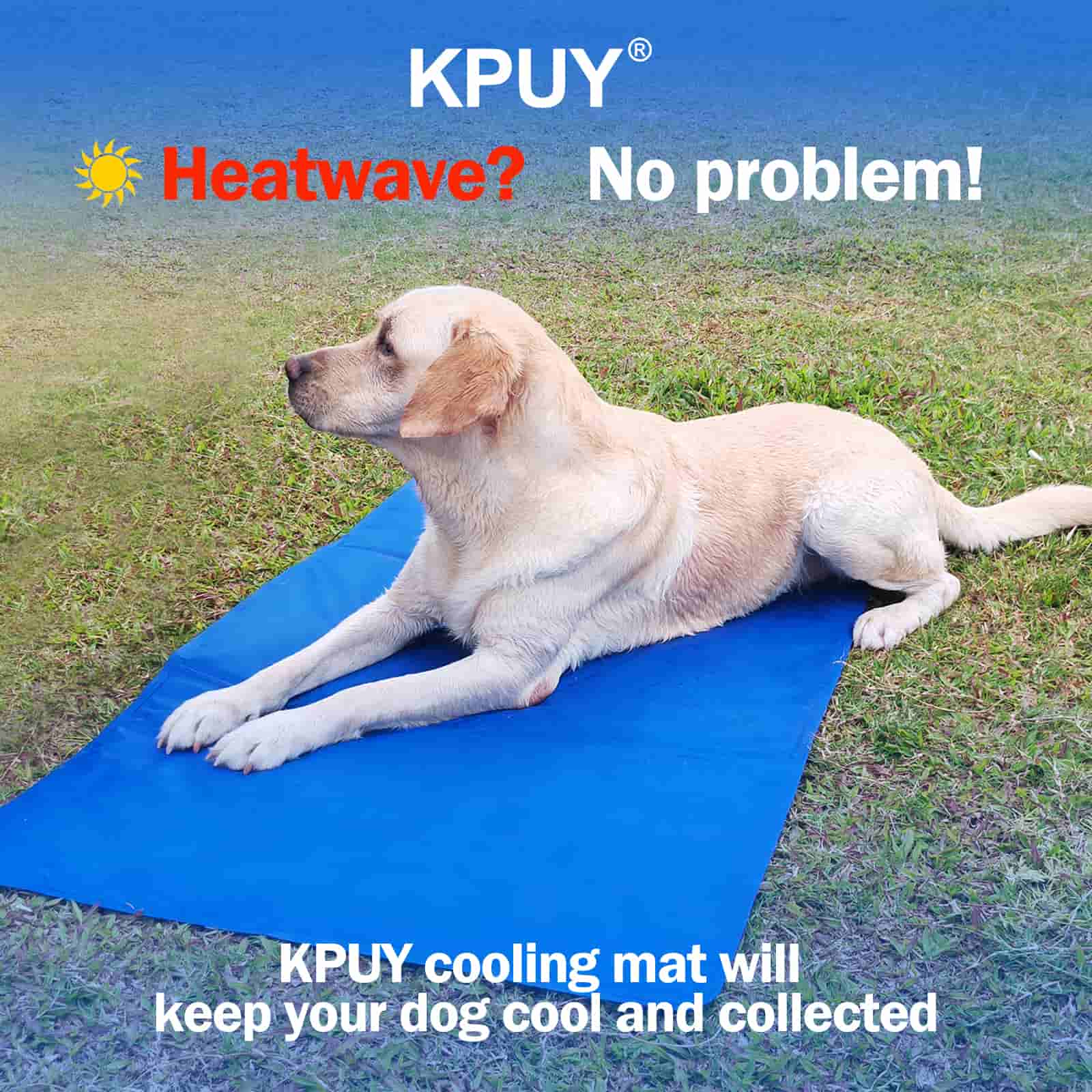 Tapis de refroidissement pour chien KPUY