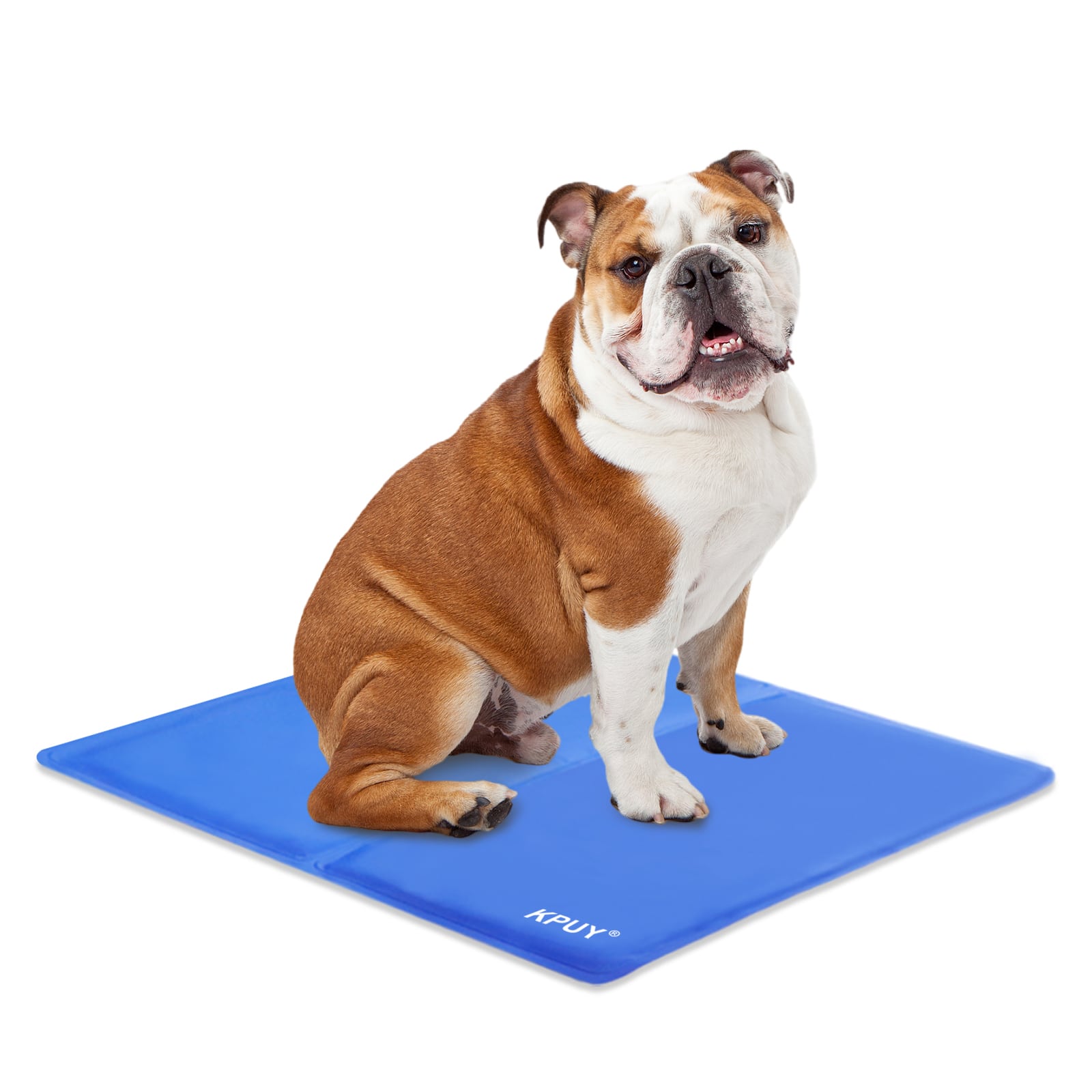 Tapis de refroidissement pour chien KPUY