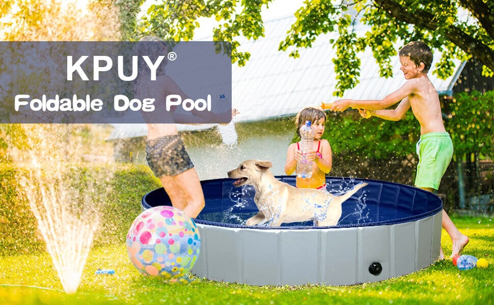 Piscine pliable pour chien KPUY