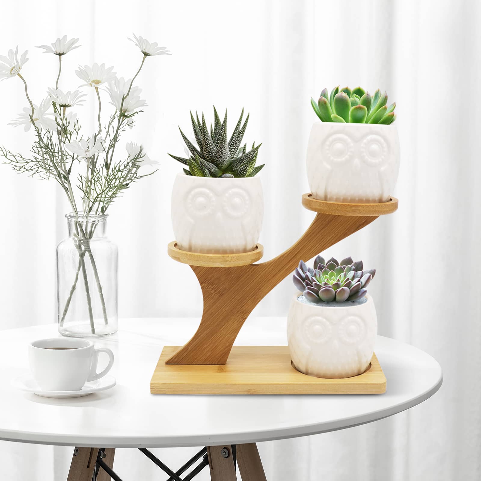 Pots succulents de hibou KPUY