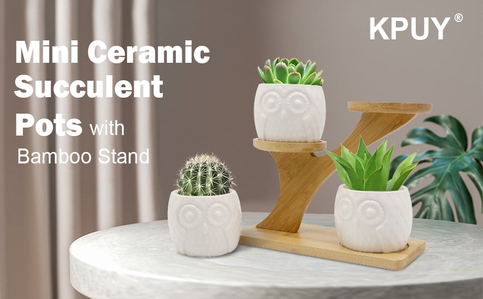 KPUY Owl Succulent Pots