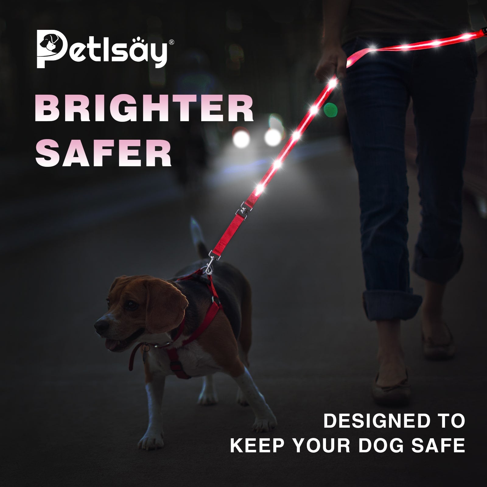 PetIsay Laisse lumineuse pour chien