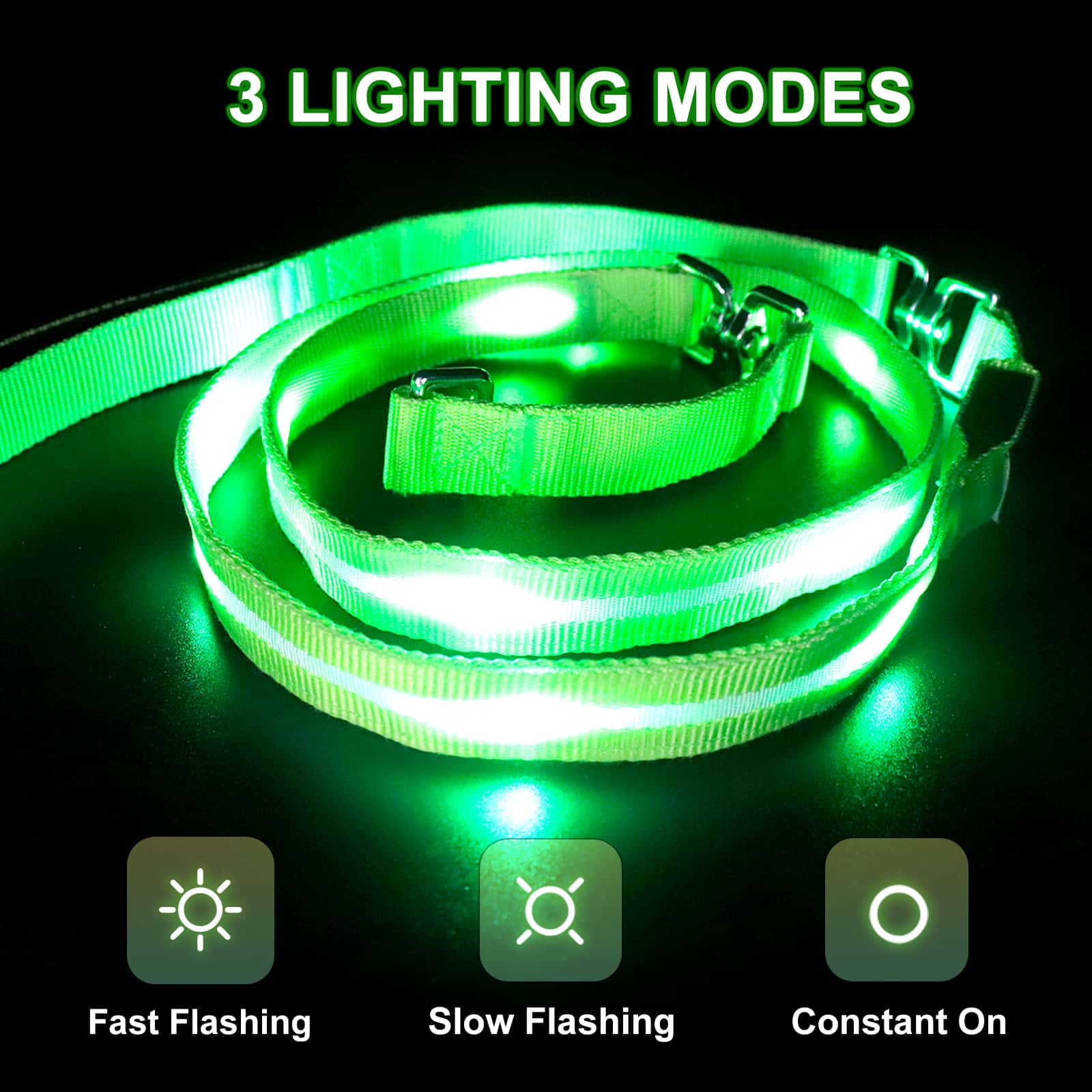 PetIsay Light up Dog Leash