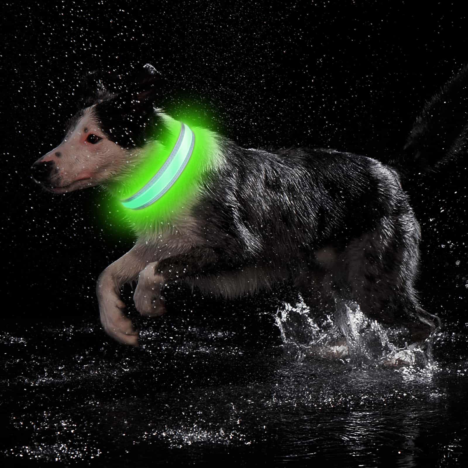 Collier pour chien PetIsay Ultimate LED