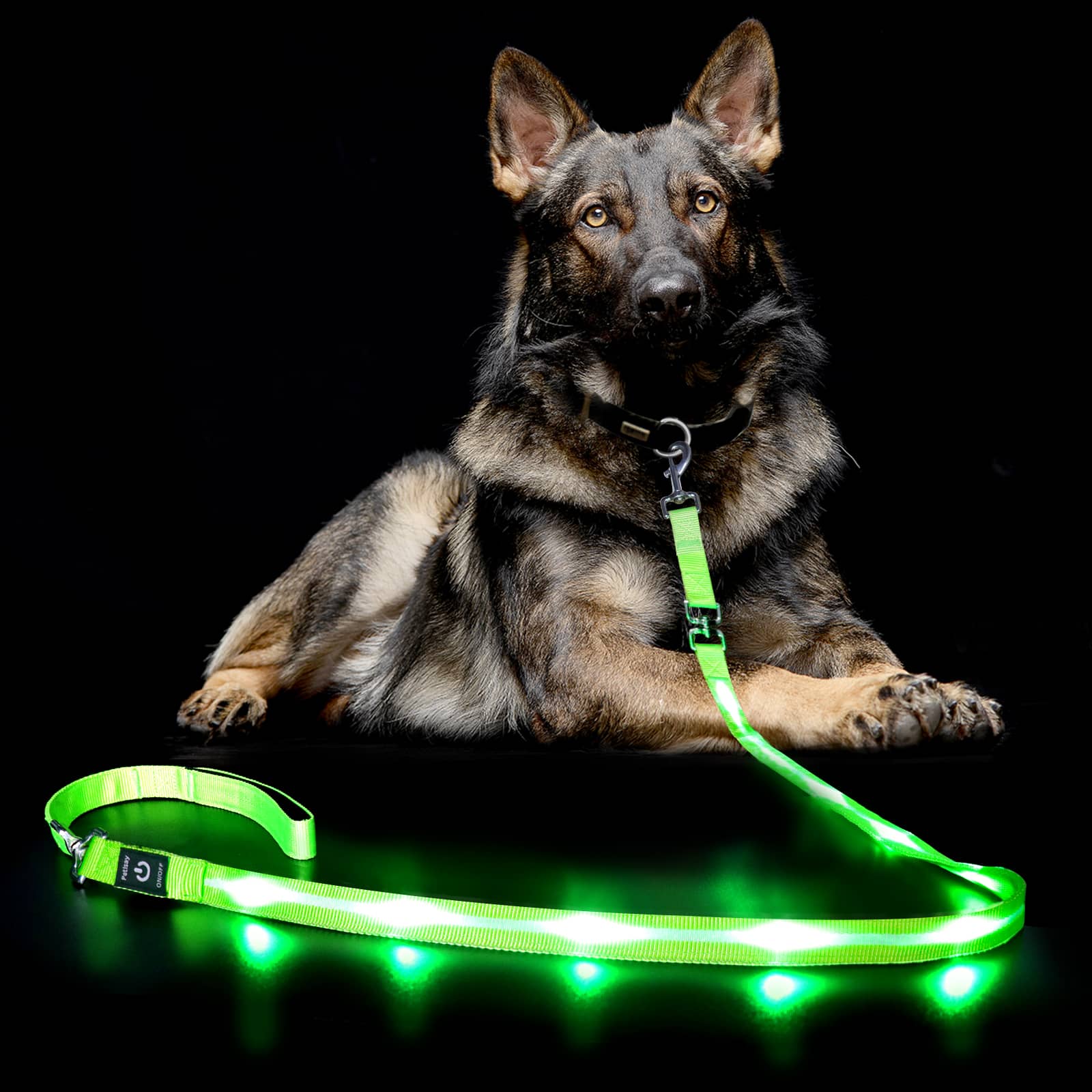 PetIsay Laisse lumineuse pour chien