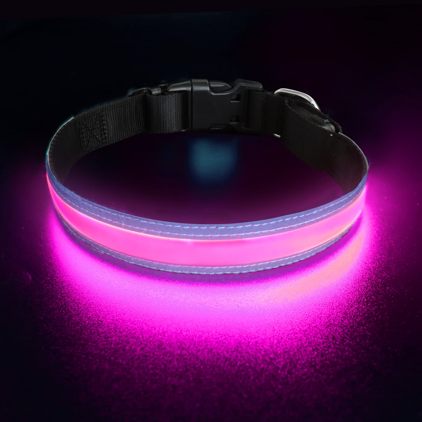 Collier pour chien PetIsay Ultimate LED